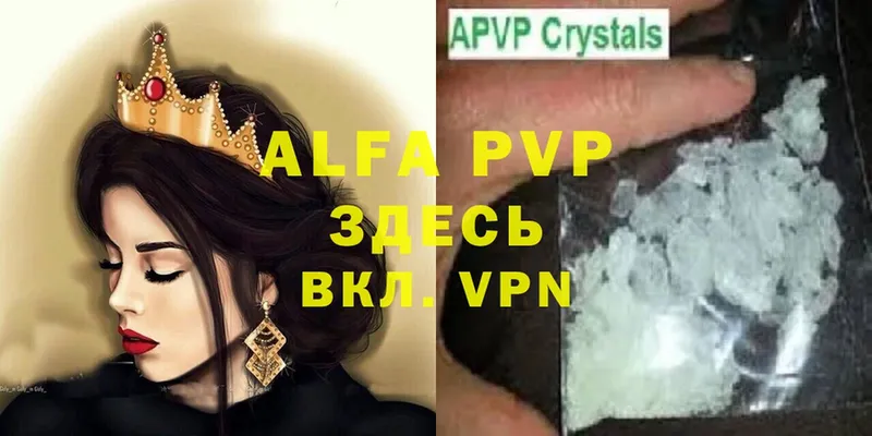 A PVP СК КРИС  Кропоткин 