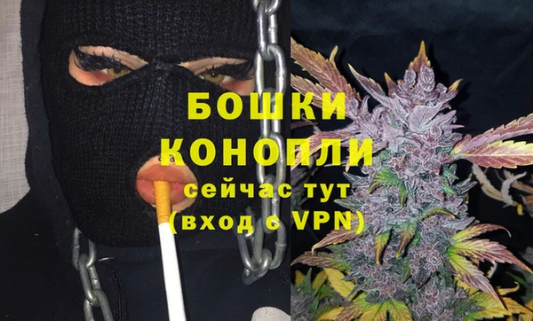 a pvp Пересвет