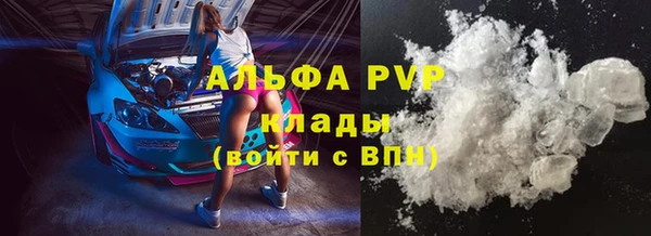 a pvp Пересвет