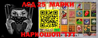 стаф Кинель