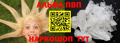 стаф Кинель