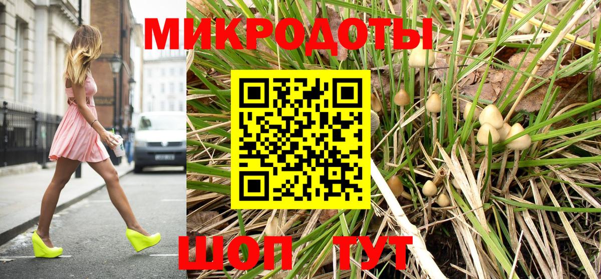 Псилоцибиновые грибы прущие грибы  Галлюциногенные грибы Psilocybe  Кропоткин  Вход с VPN 